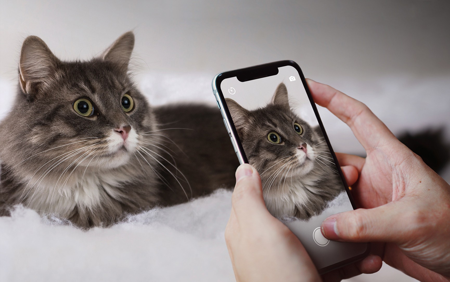 Capture the moment with 4 cameras on Oppo A92